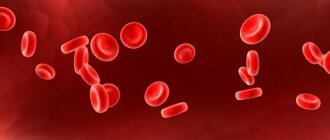 Гемоглобин в крови: норма и причины отклонений