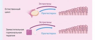 Криопротокол с замещающей гормонотерапией - Изображение №2
