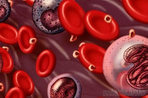 Онкология в крови