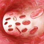 Схематическое изображение эритроцитов в кровеносном сосуде