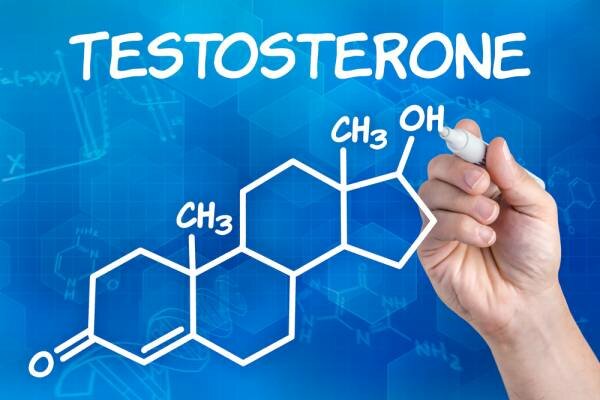Тестостерон у женщин, как повысить тестостерон